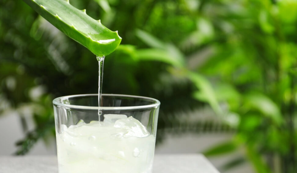 Aloe vera Juice