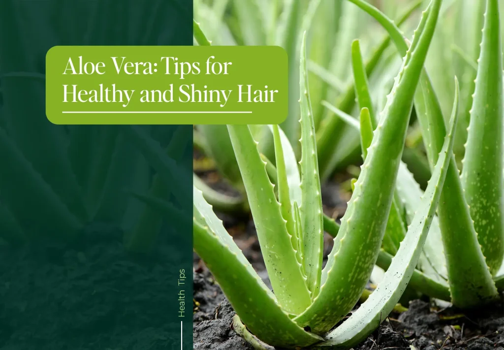 Aloe vera gel for hair