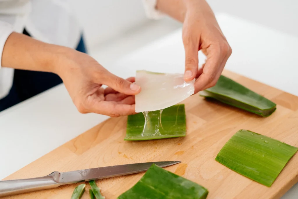 Aloe Vera Storage