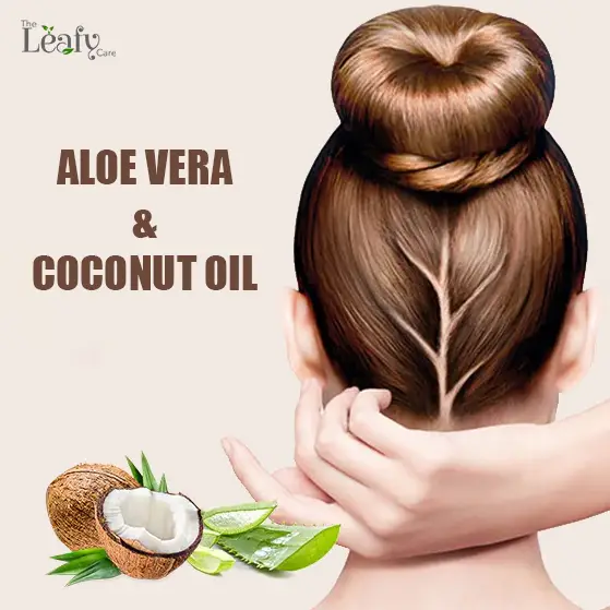 Ways to Use Aloe Vera & Coconut oil.