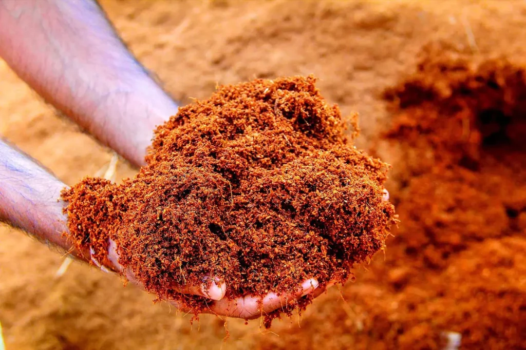 care after using cocopeat