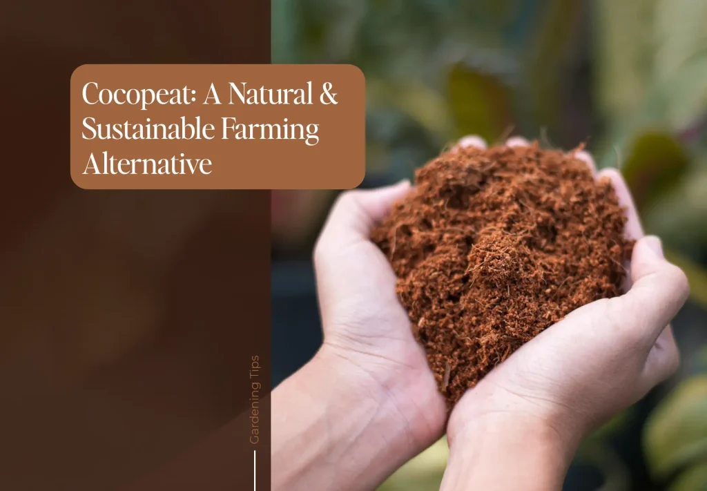 Cocopeat