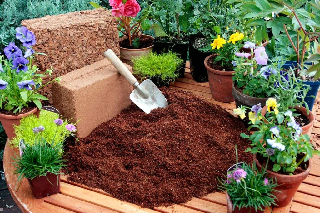 coco peat