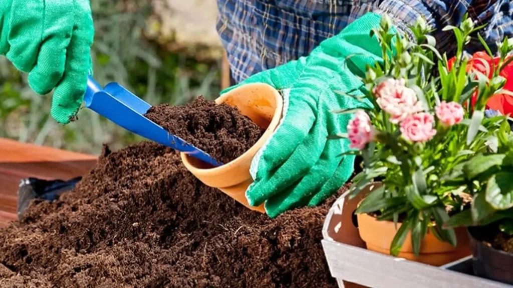 cocopeat benefits