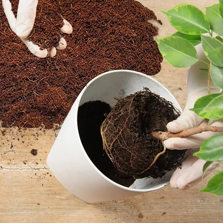 how to use coco peat