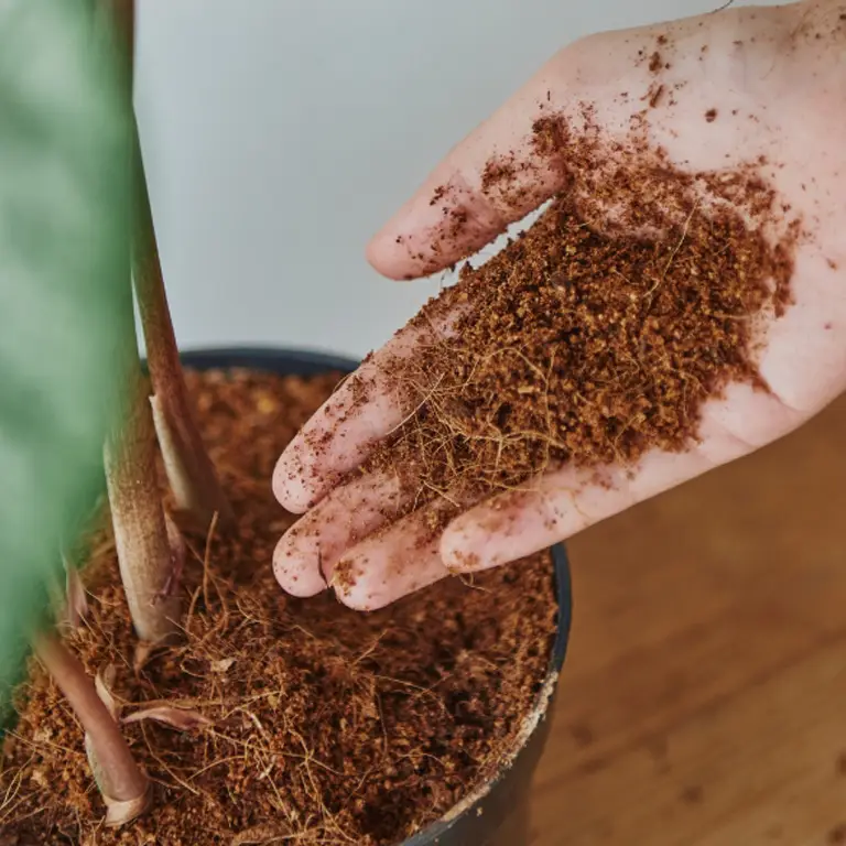 how to use cocopeat