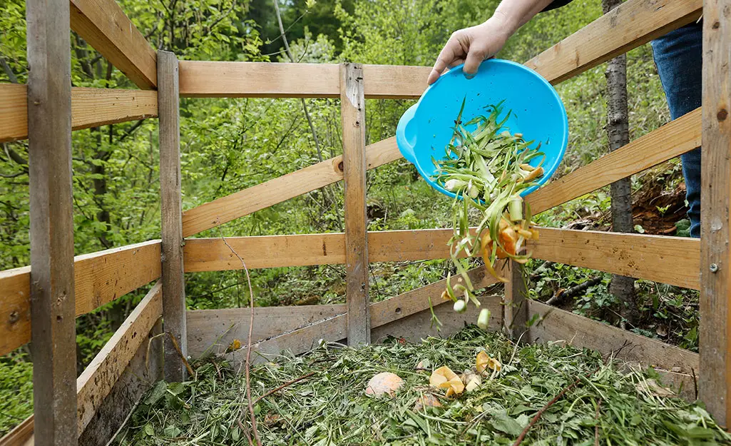 Benefit of compost