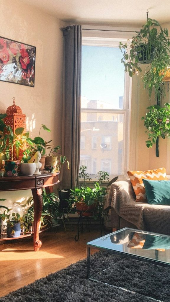 Best Indoor Plants for Air Quality: Complete Guide How to Grow: Complete Visual Guide