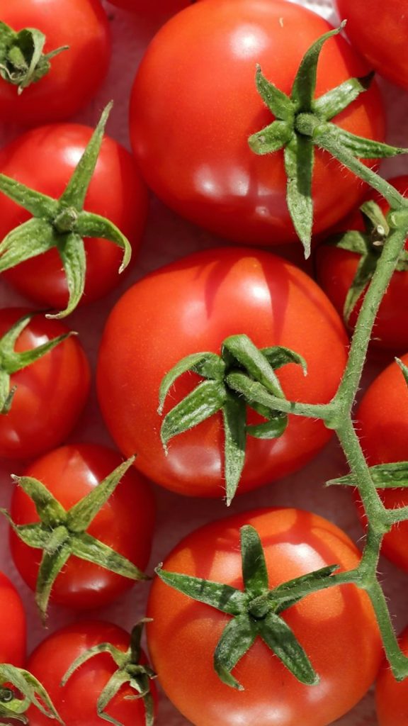 Tomato Uses: Complete Visual Guide