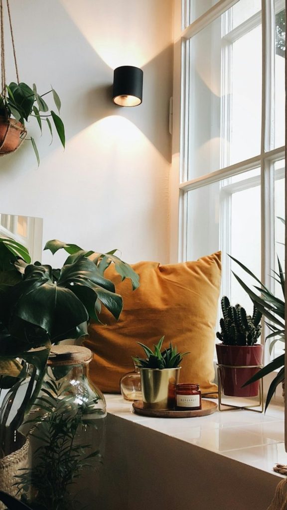 Indoor Plant Light Requirements: The Complete Care Guide Benefits: Complete Visual Guide
