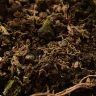 home composting kitchen waste india — a close up of a pile of dirt