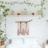 Indoor Plants plant growing in terracotta pot at home