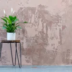 Peace Lily plant growing in terracotta pot at home